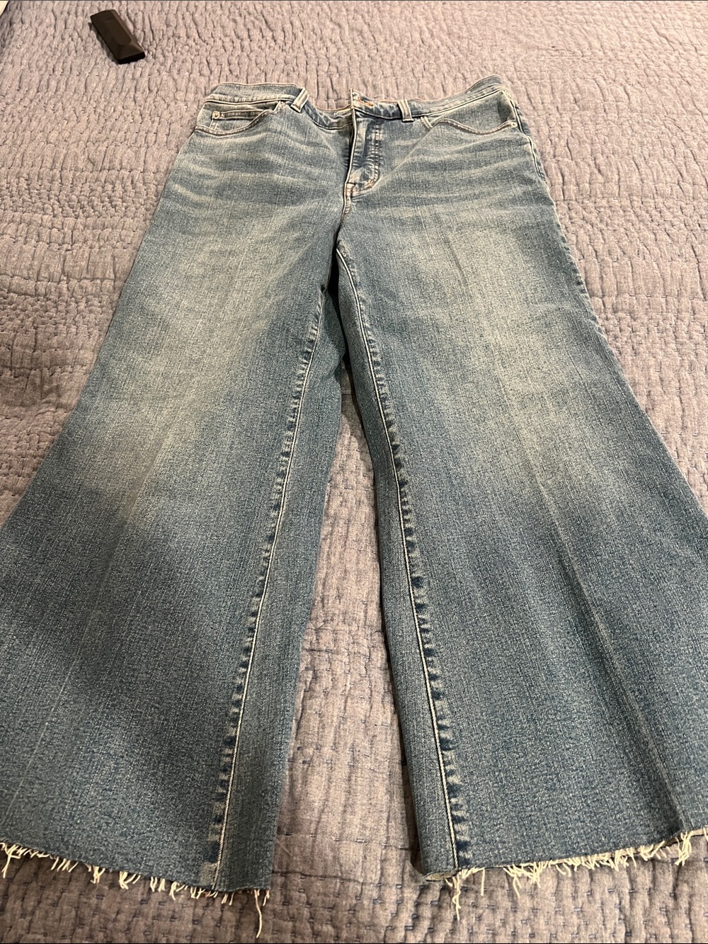 Madewell Women's flared Light Blue Wide-Leg Jeans size 31